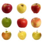 Apple Taste Test