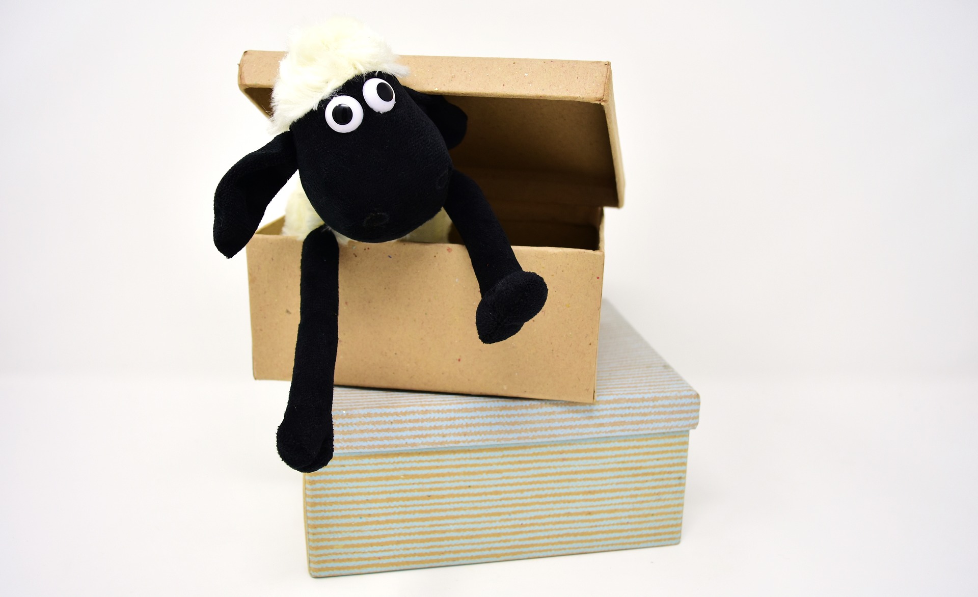 Stuffed toy Sheep in Box